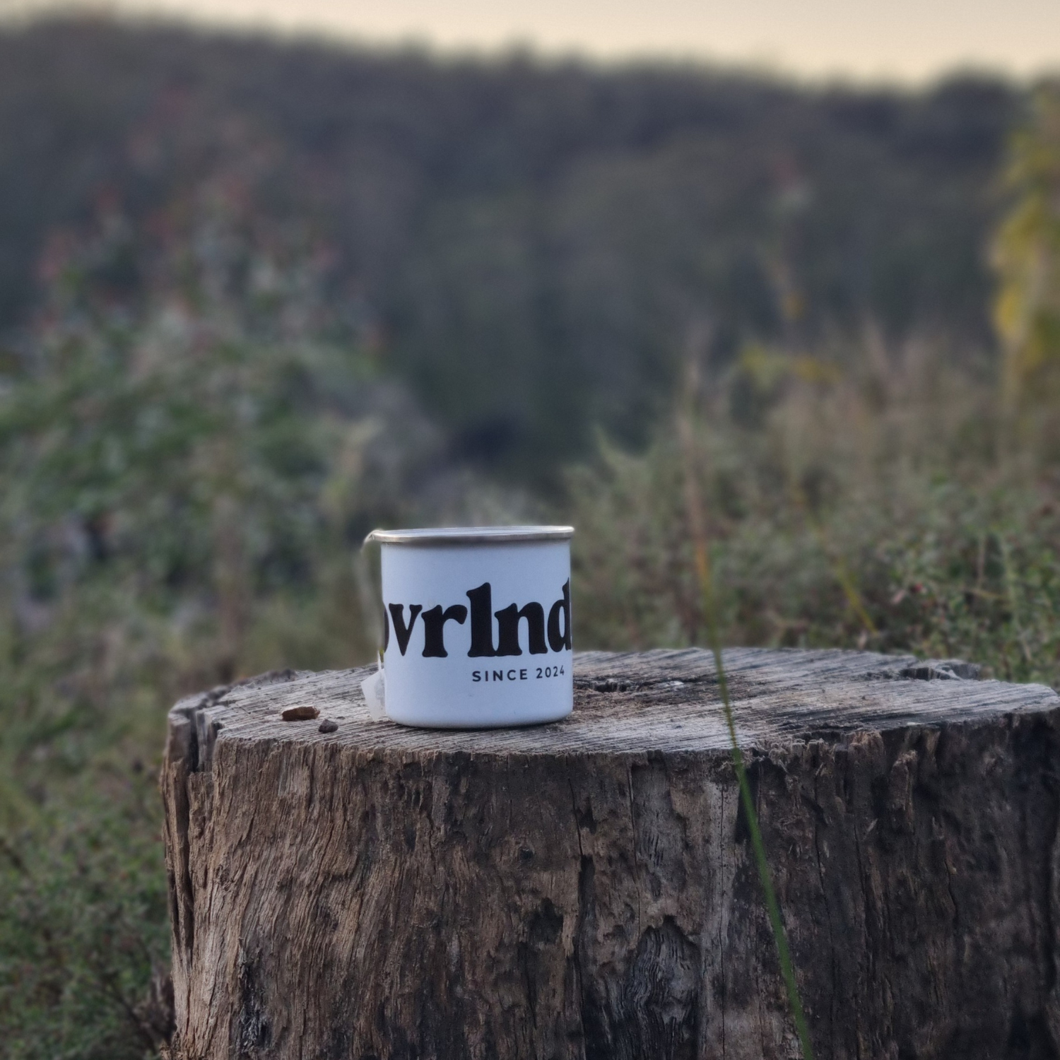 Enamel Mug